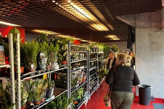 Tłumy na Festiwalu Roślin 2024 w Białymstoku