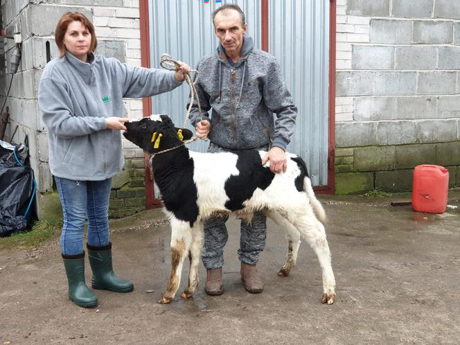 Burek zagryzł mu mamę