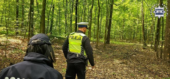 Zaginiona dziewczynka z Dziewkowic odnaleziona. Policja zatrzymała mężczyznę