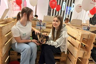 Akcja adopcyjna Fundacji Dobre Ludki w Grudziądzu. Zobacz zdjęcia 