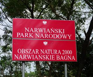 Narwiański Park Narodowy