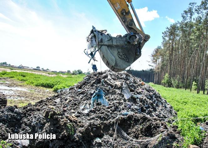 Zorganizowana grupa przestępcza zakopywała odpady w Przemęckim Parku Krajobrazowym