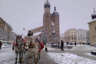 Zima rozgościła się na dobre. Kraków przykryty białym puchem 