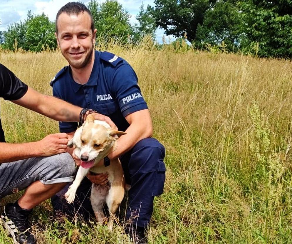Policjanci uratowali psy. Lubuskie