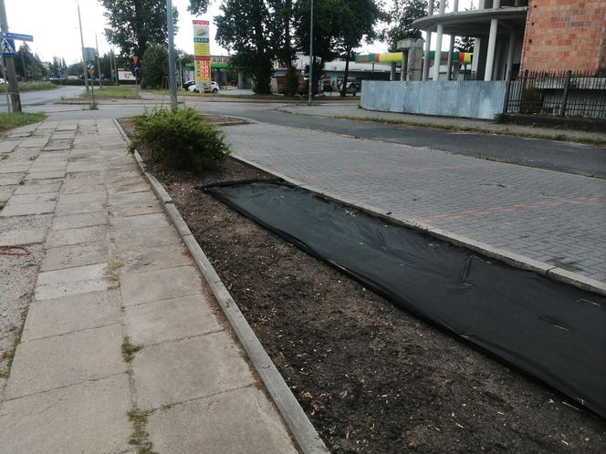 Park kieszonkowy w Siedlcach