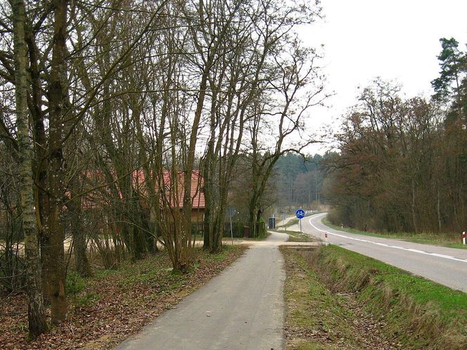 Jezioro Komosa obok miejscowości Krasne na Podlasiu