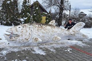 Ulepił ze śniego gigantyczne ryby