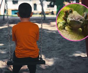 Przedszkolak obronił zwierzaki na warsztatach. Wyrzucono go z placówki 