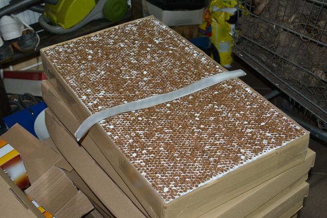 Fabrykę nielegalnych papierosów urządzili w pokoju. Do akcji wkroczyła straż graniczna [ZDJĘCIA]