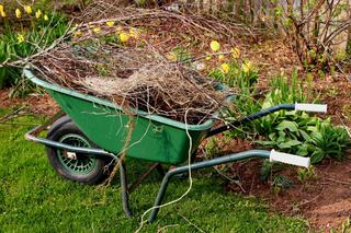 Kwiecień w ogrodzie - jakie prace należy wykonać w kwietniu w ogrodzie