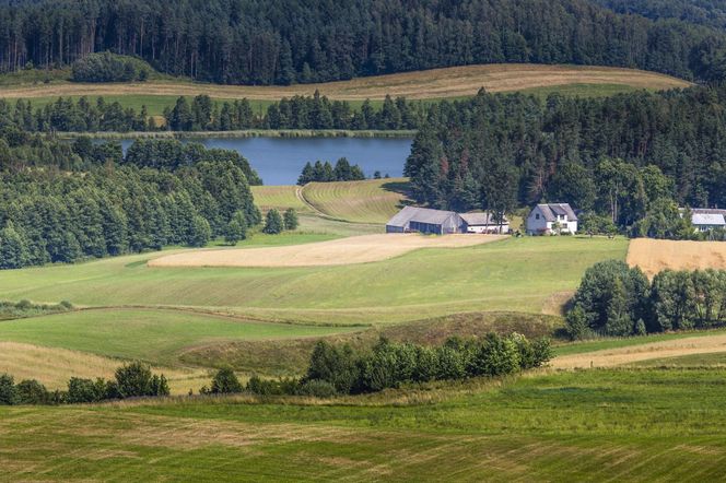 Suwałki - tu żyje się najlepiej w województwie podlaskim. AI nie ma wątpliwości