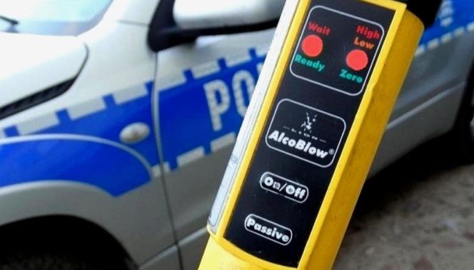 Rabinówka. Pijana 22-latka bez prawa jazdy uderzyła w ogrodzenie i drzewo