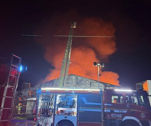 Ogromny pożar fermy drobiu w Fałkowicach. W ogniu mogło zginąć nawet 130 tysięcy kur