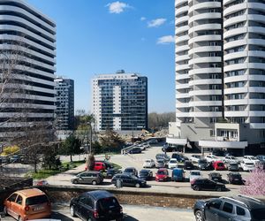 Kukurydze i nowe bloki na osiedlu Tysiąclecia