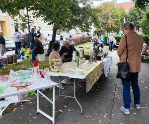 Jarmark Staroci w Wodzisławiu Śląskim