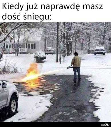 Memy o zimie roztapiają smutki. Te śnieżne obrazki rozbawią cię do łez [TOP 75]