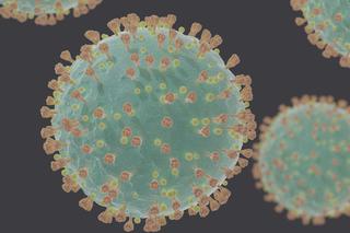 Kolejne dwa nowe przypadki koronawirusa na Podkarpaciu! Już 5 chorych