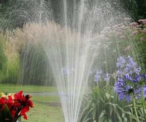 Koniec z podlewaniem ogrodów deszczówką. Nowe przepisy od 1 lipca
