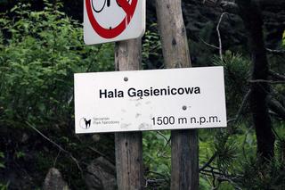 Poszukiwana ponad rok