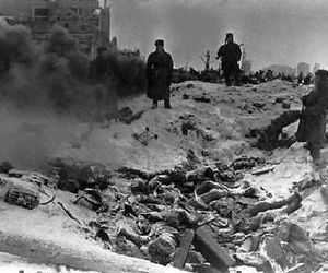 Bitwa pod Stalingradem