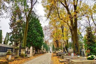 Lublin - miejska komunikacja i dojazd na cmentarze