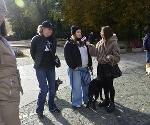 Wielki marsz adopciaków w Radomiu