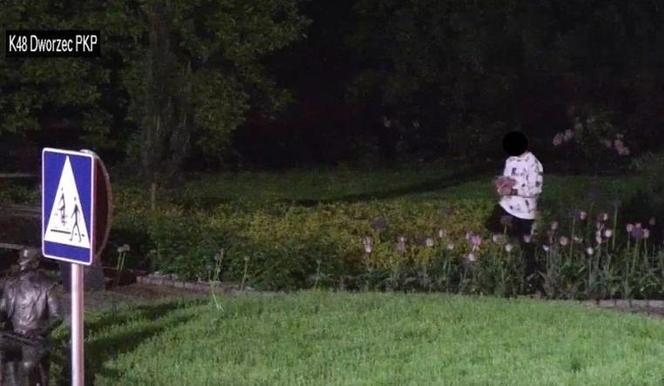 Nocne imprezowanie w Rybniku. Pijana młodzież wspinała się na pomnik, zrywała tulipany i... sikała na budynki [ZDJĘCIA]