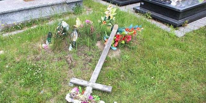 Zniszczony cmentarz w Tarnowie