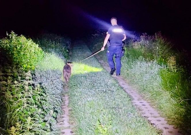  ZŁodzieje ukradli pitbulla.