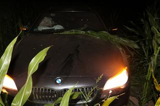 Pijany uciekał przed policją. Wjechał autem w pole kukurydzy