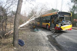 Autobus skosił drzewo