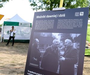 Dożynki w Woźnikach. Dożynki Województwa Śląskiego