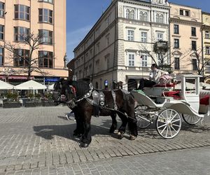 Dorożki konne na Rynku w Krakowie. Będą zmiany w godzinach postoju