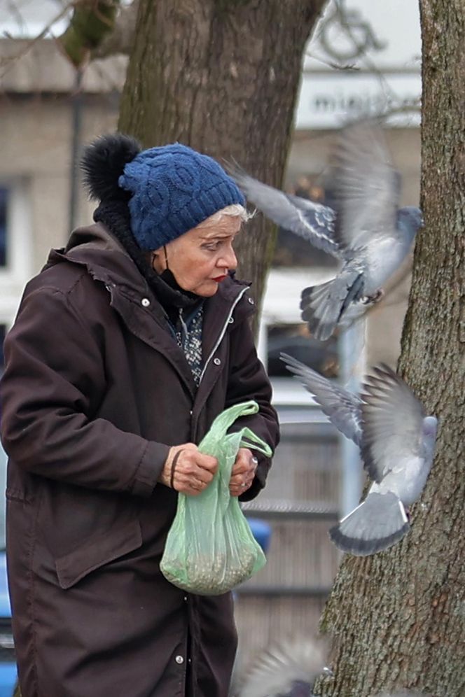 Anna Chodakowska. Gwiazda "Labiryntu" wśród ptaków