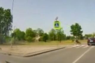 Poważny wypadek w Toruniu. Pijany kierowca BMW staranował rowerzystę