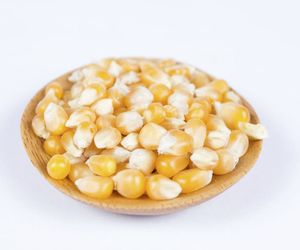 GMO i żywność modyfikowana genetycznie