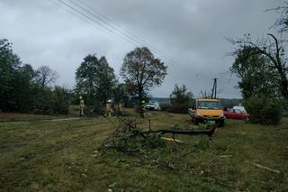 Trąba powietrzna w Łódzkiem. Zniszczenia w gminie Poświętne