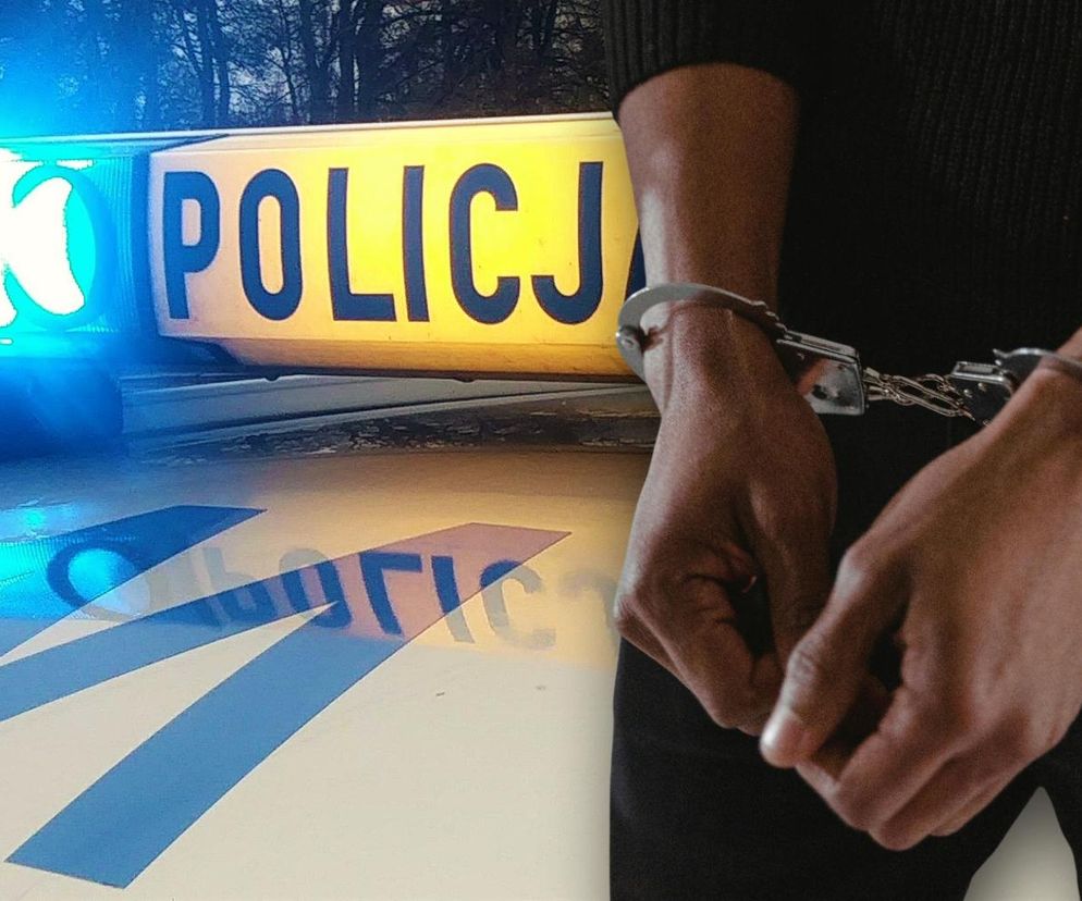 Brawurowy pościg za audi i 17 zarzutów dla 29-latka. Co miał na sumieniu?