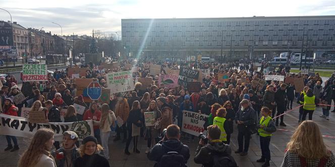 Wielki protest w Krakowie. Strajkowali w obronie klimatu 