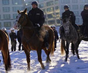 Warszawa: konie w policyjnej służbie