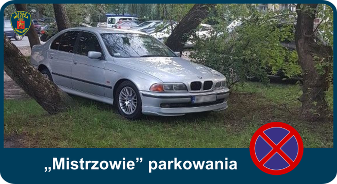 Mistrzowie parkowania. Tak kierowcy parkują w Warszawie