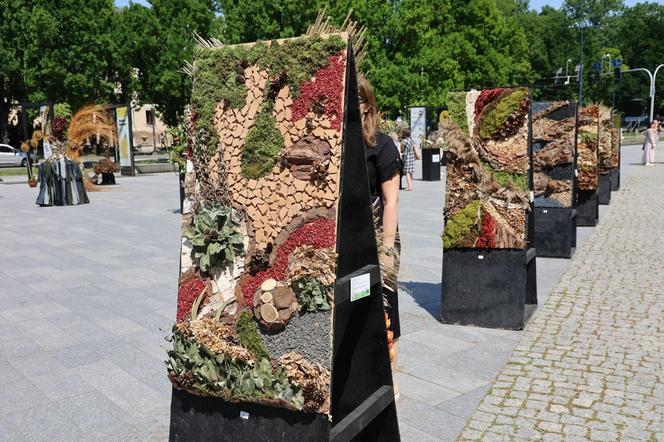 Weekend z florystyką w Lublinie. Zobacz imponujące roślinne instalacje w centrum miasta!