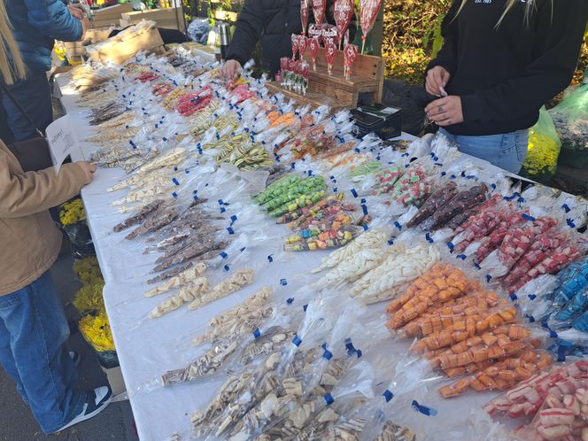 Wszystkich Świętych 2025 w Krakowie