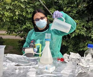 Zarząd Zieleni robi badania... DNA