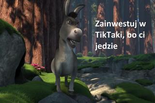 Znasz te kultowe teksty ze Shreka?