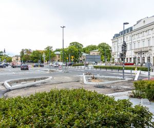Sadzenie zieleni na placu Bankowym w maju 2025 r.