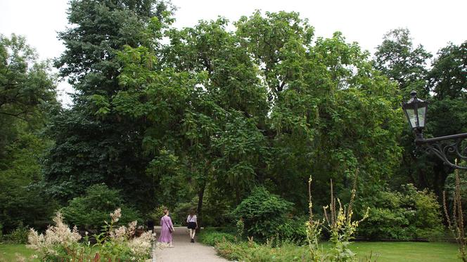 To jeden z najpiękniejszych ogrodów botanicznych w Polsce. Znajduje się na Dolnym Śląsku 