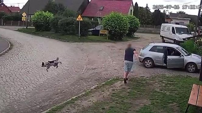 Złapał psa i rzucił nim o ziemię. Wstrząsające nagranie obiegło sieć