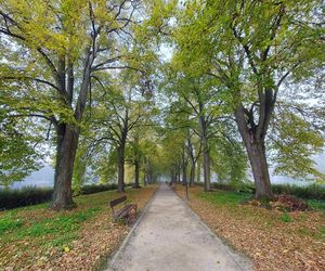 Zamojski Park jesienią