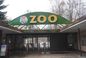Szokujące zajście w poznańskim zoo. Takie zachowanie jest skrajnie nieodpowiedzialne!